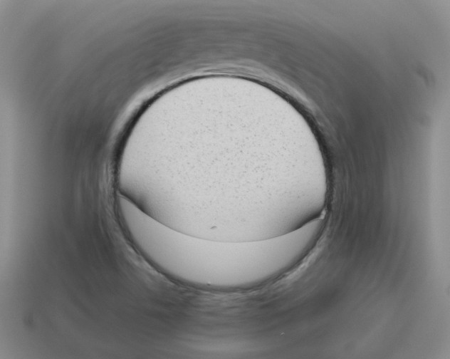 X0000114221506200911061455