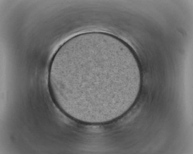 X0000114221508200911061455