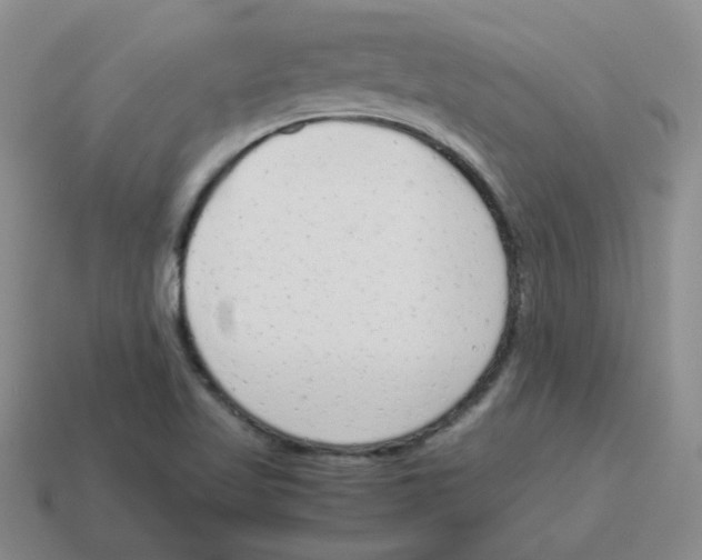 X0000114221509200911061455