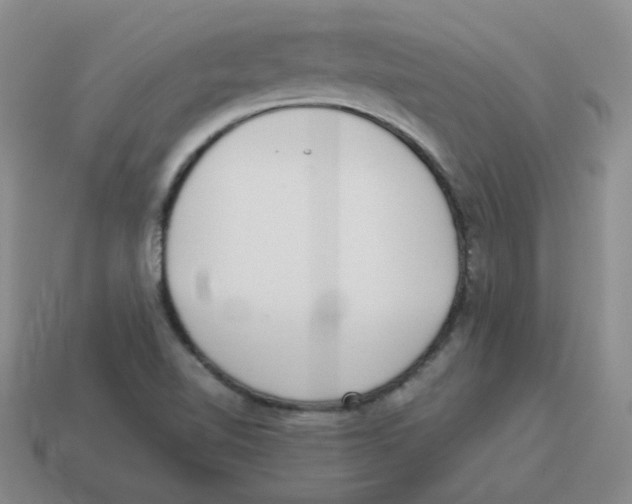 X0000114221510200911061455