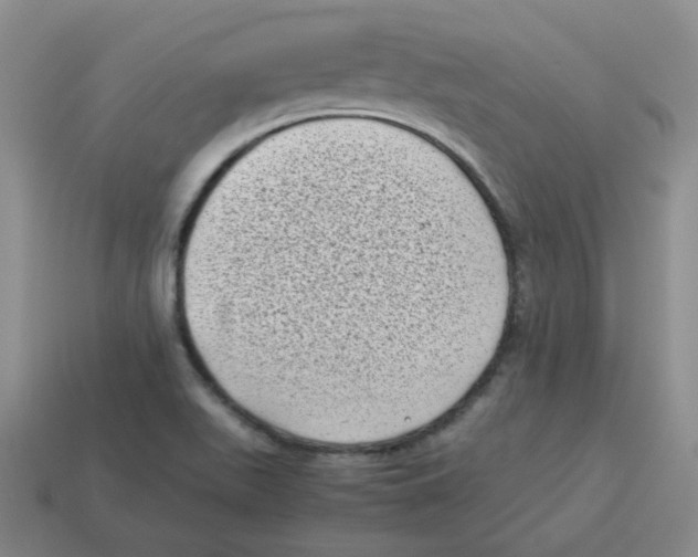 X0000114221511200911061455