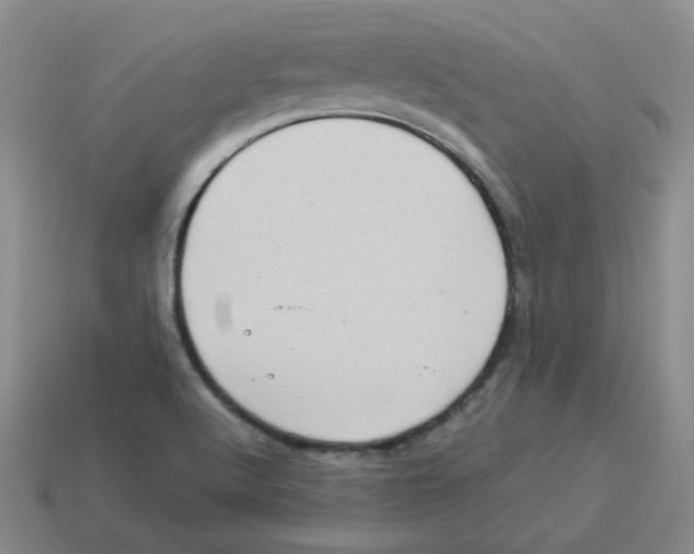 X0000114221512200911061456