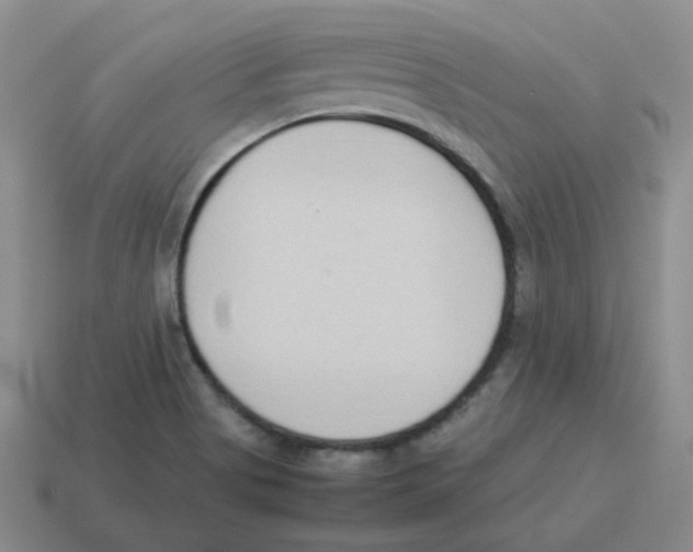 X0000114221513200911061456