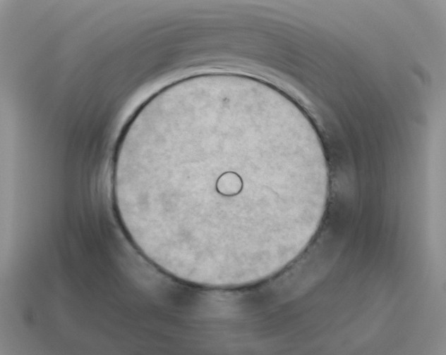 X0000114221514200911061456