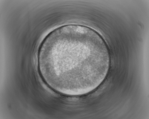 X0000114221515200911061456