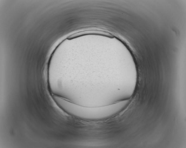 X0000114221516200911061456