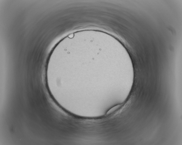 X0000114221518200911061456