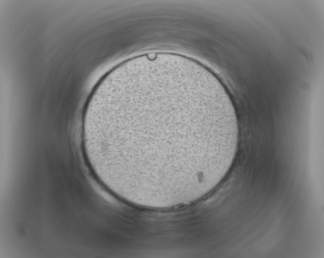 X0000114221519200911061456