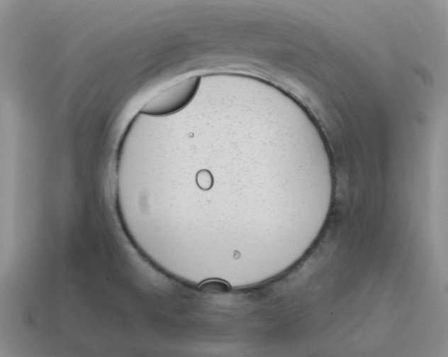 X0000114221520200911061456