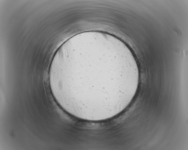 X0000114221521200911061456