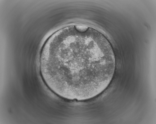 X0000114221522200911061456