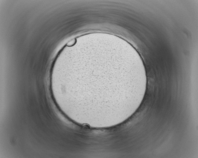 X0000114221523200911061456