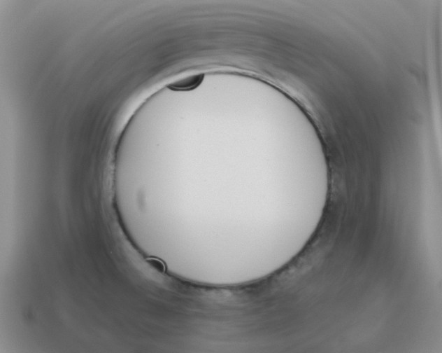 X0000114221524200911061456