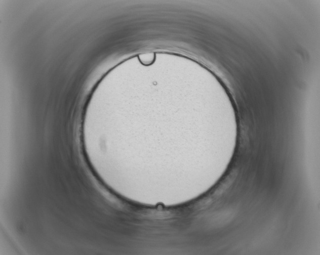 X0000114221525200911061456