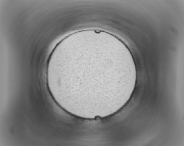 X0000114221526200911061456