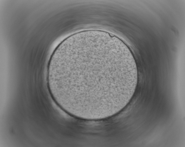 X0000114221527200911061456