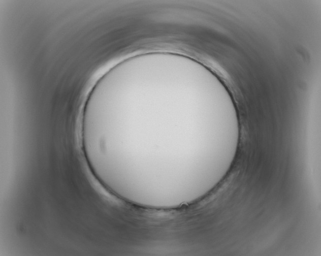 X0000114221528200911061456