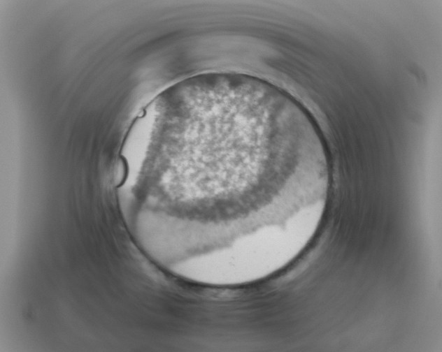 X0000114221529200911061456