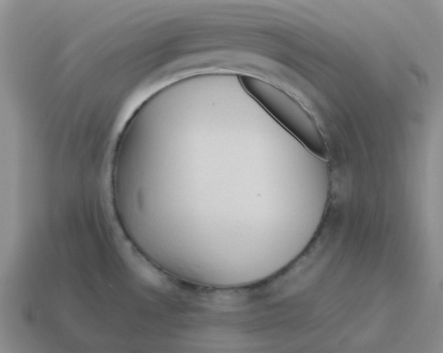 X0000114221530200911061456