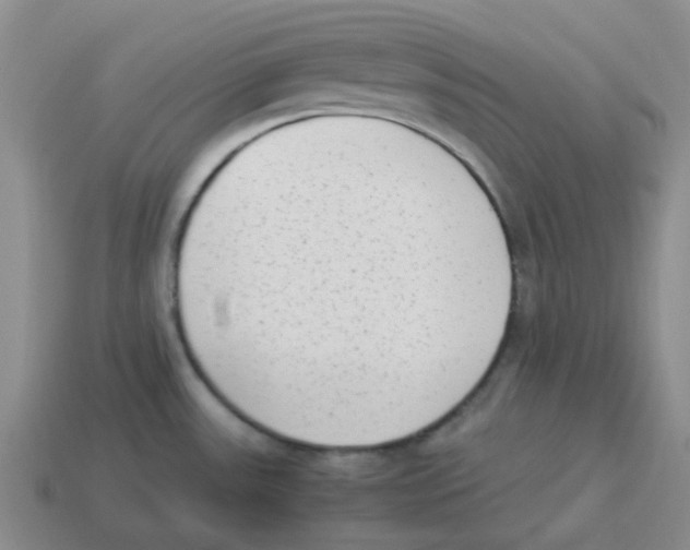 X0000114221531200911061456