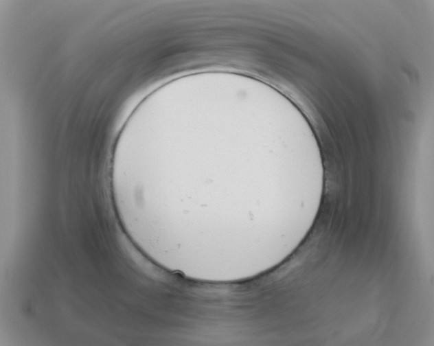 X0000114221532200911061456