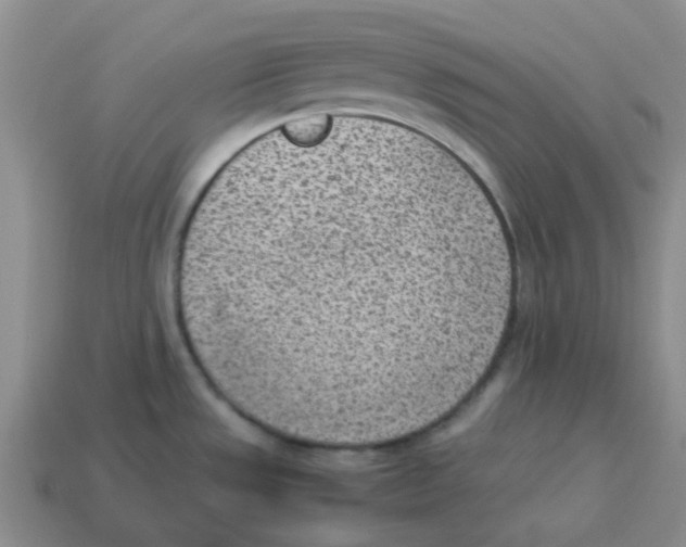 X0000114221533200911061456