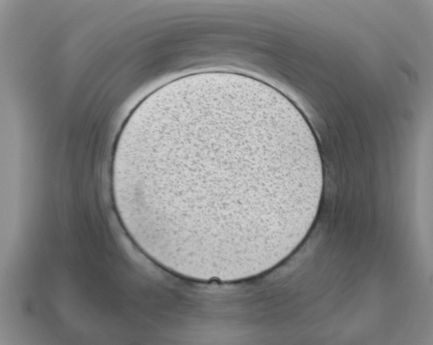 X0000114221534200911061456