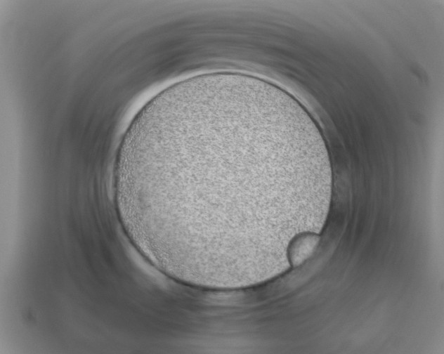 X0000114221535200911061456