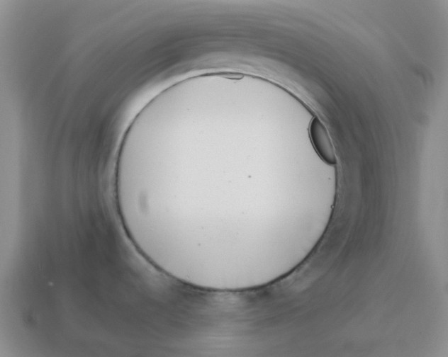 X0000114221536200911061456