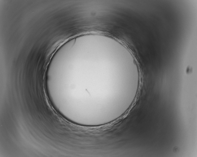 X0000114220001200911201057