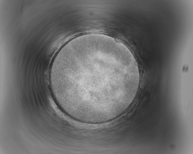X0000114220002200911201057