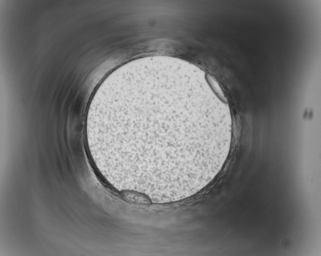 X0000114220003200911201057