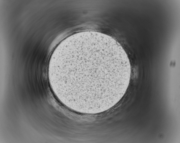 X0000114220004200911201057