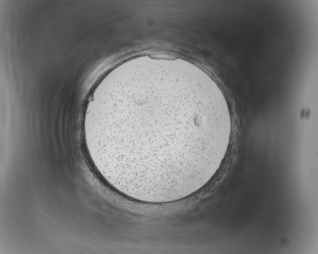 X0000114220007200911201057