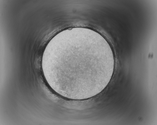 X0000114220009200911201057