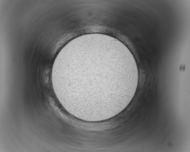 X0000114220010200911201057