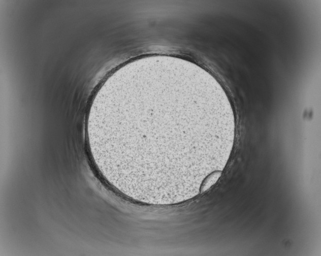 X0000114220011200911201057