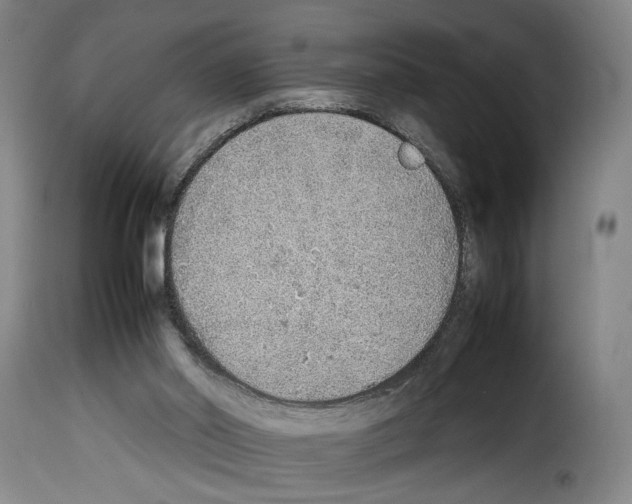 X0000114220014200911201057