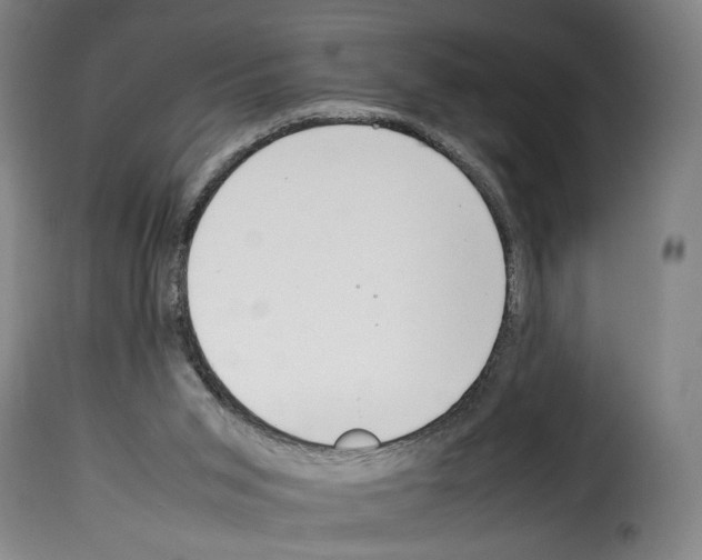 X0000114220015200911201057