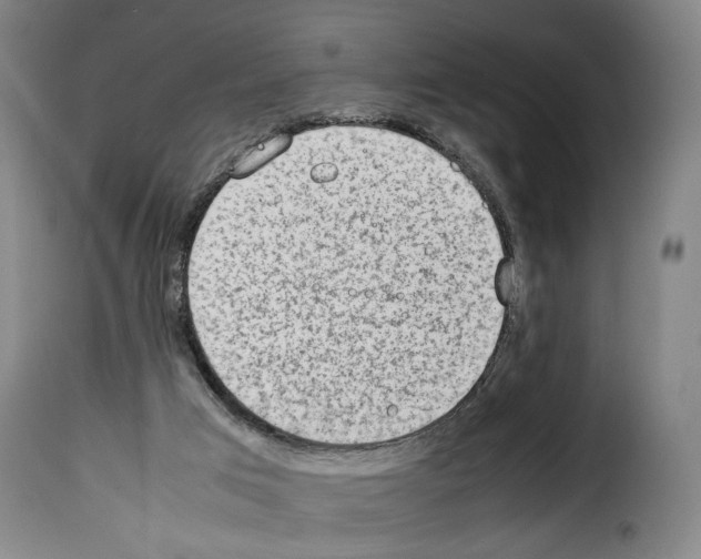 X0000114220017200911201057