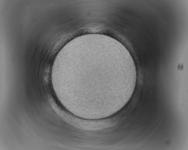 X0000114220018200911201057