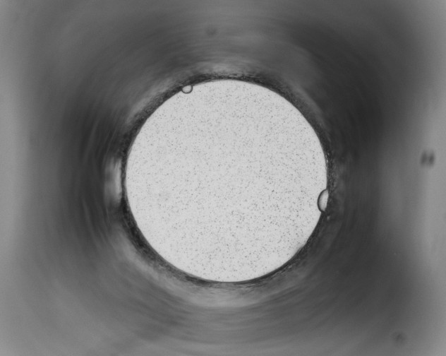 X0000114220020200911201057