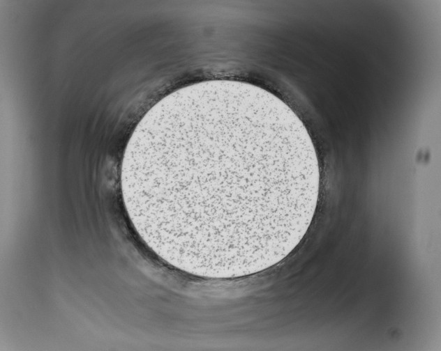 X0000114220025200911201057