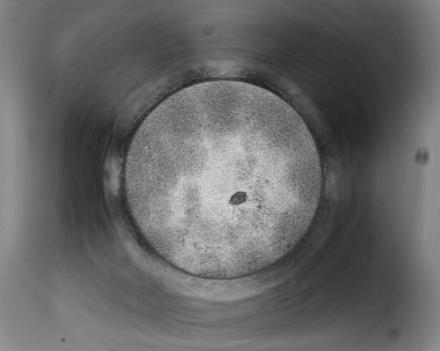 X0000114220026200911201057