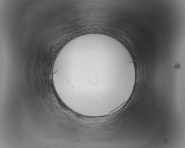 X0000114220029200911201057
