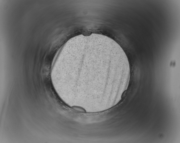 X0000114220033200911201057