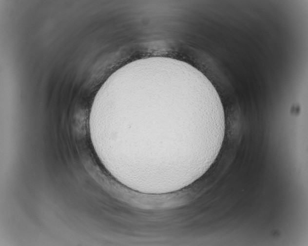 X0000114220034200911201057
