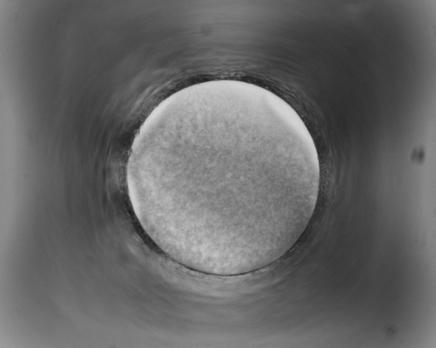 X0000114220035200911201057