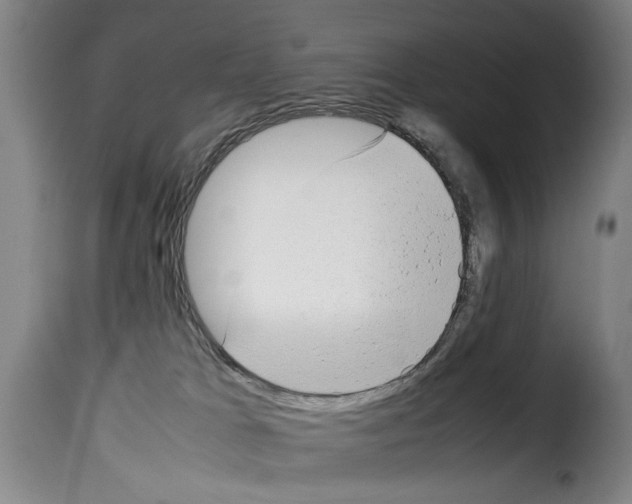 X0000114220037200911201056