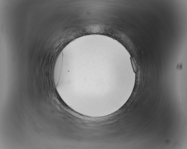 X0000114220039200911201056